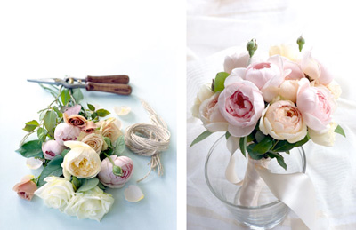 3402406358_2156b4275e_o