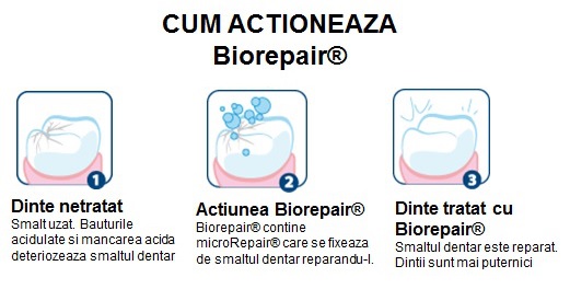 biorepair1
