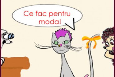 Ce fac eu pentru moda?