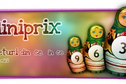 Miniprix.ro – discount concept