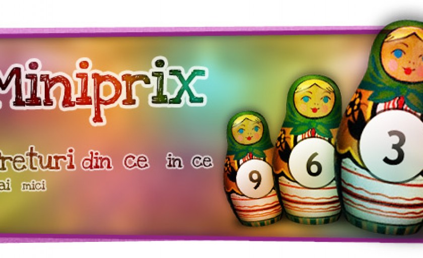 Miniprix.ro – discount concept