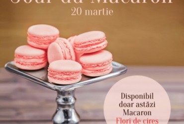 Jour du Macaron la Madame Lucie