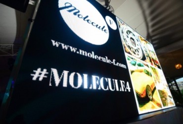 Concentratul de moda romaneasca: 4 ani de Molecule-F