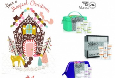 Magic Christmas #4: ritualurile Murad de ingrijire a tenului pentru o aparitie desavarsita
